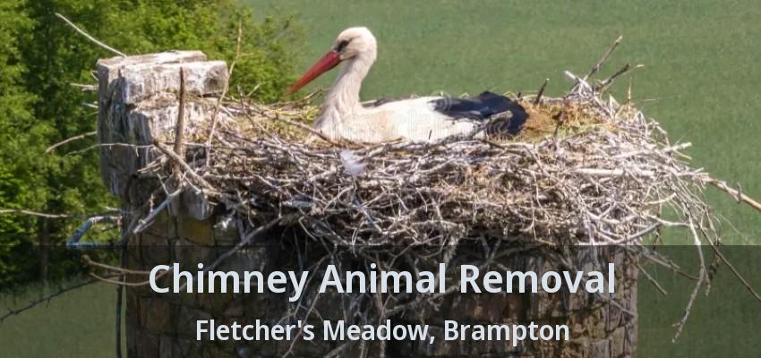 Chimney Animal Removal Fletcher's Meadow, Brampton - ON