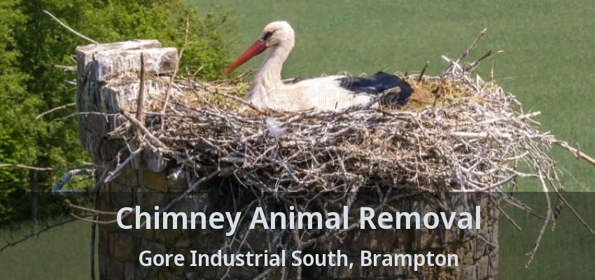 Chimney Animal Removal Gore Industrial South, Brampton - ON