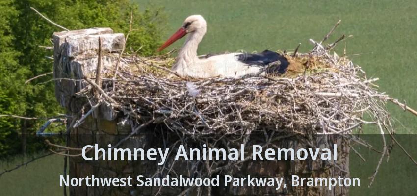 Chimney Animal Removal Northwest Sandalwood Parkway, Brampton - ON
