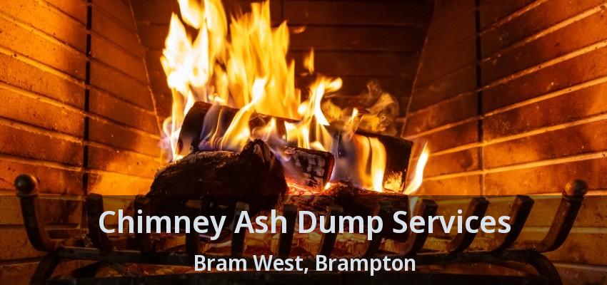 Chimney Ash Dump Services Bram West, Brampton - ON