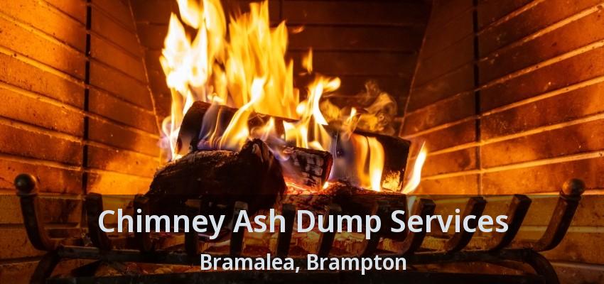 Chimney Ash Dump Services Bramalea, Brampton - ON