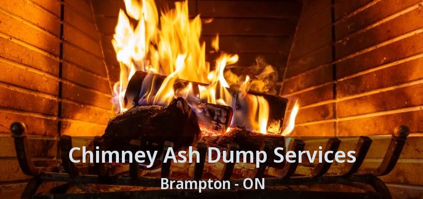 Chimney Ash Dump Services Brampton - ON