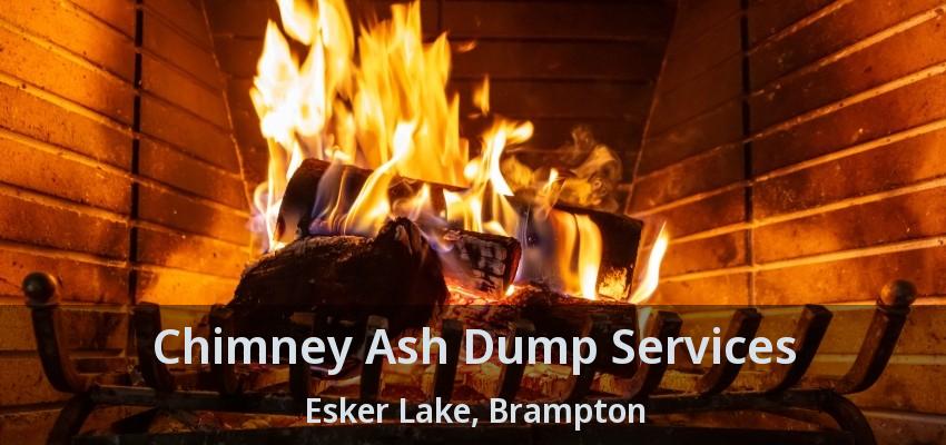 Chimney Ash Dump Services Esker Lake, Brampton - ON