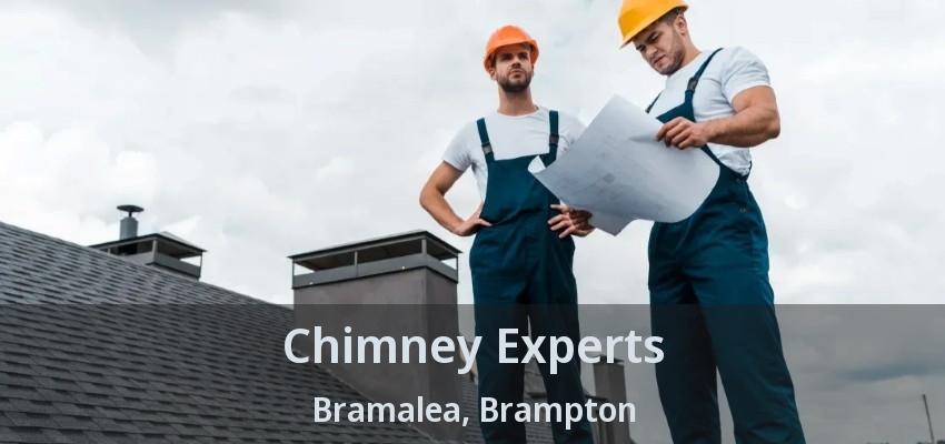 Chimney Experts Bramalea, Brampton - ON