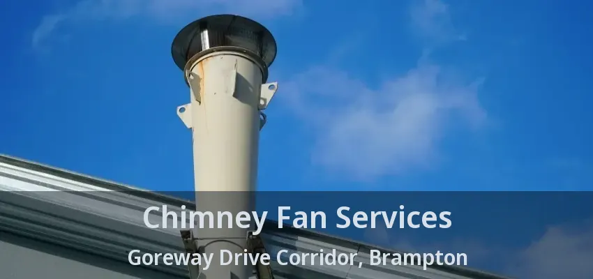 Chimney Fan Services Goreway Drive Corridor, Brampton - ON