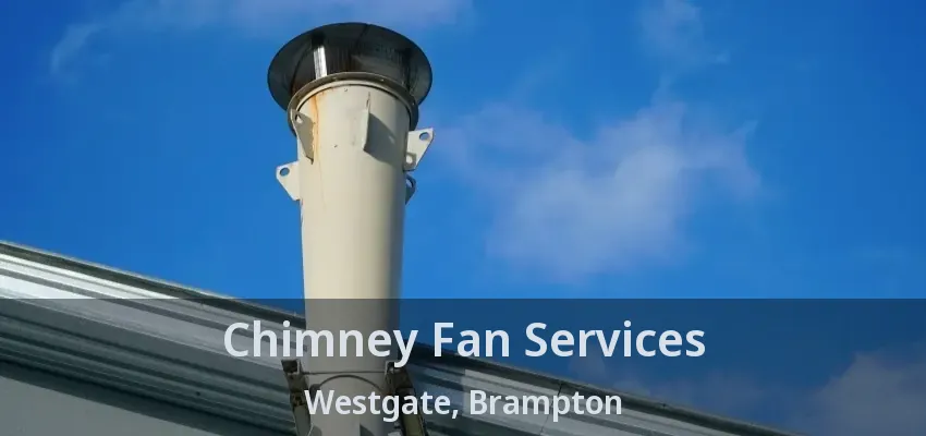 Chimney Fan Services Westgate, Brampton - ON