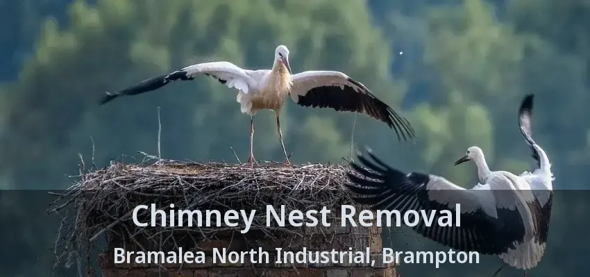 Chimney Nest Removal Bramalea North Industrial, Brampton - ON