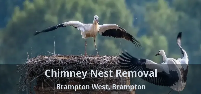 Chimney Nest Removal Brampton West, Brampton - ON