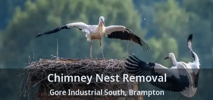 Chimney Nest Removal Gore Industrial South, Brampton - ON
