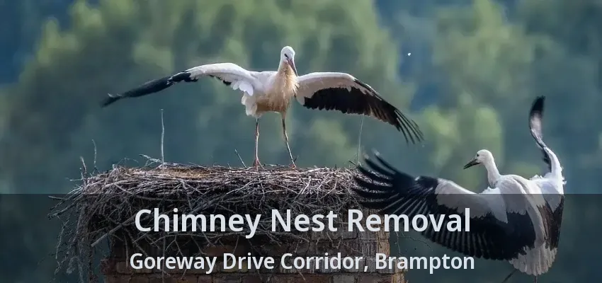 Chimney Nest Removal Goreway Drive Corridor, Brampton - ON