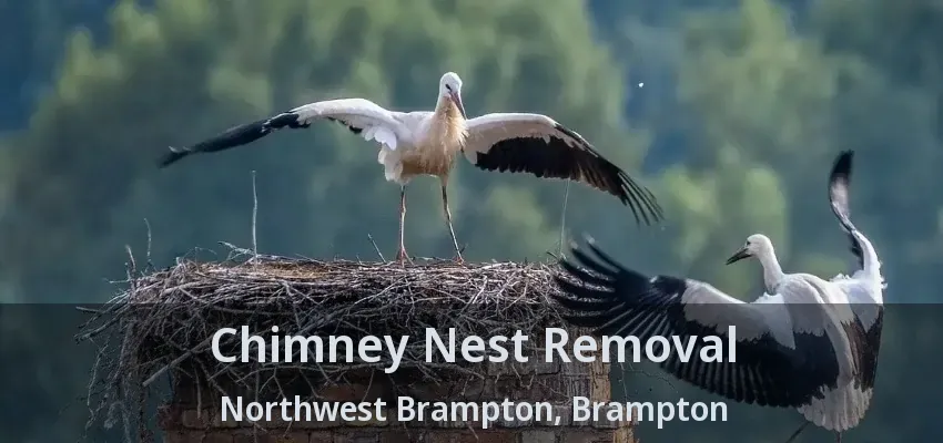 Chimney Nest Removal Northwest Brampton, Brampton - ON