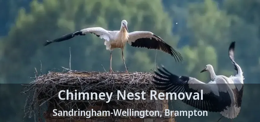 Chimney Nest Removal Sandringham-Wellington, Brampton - ON