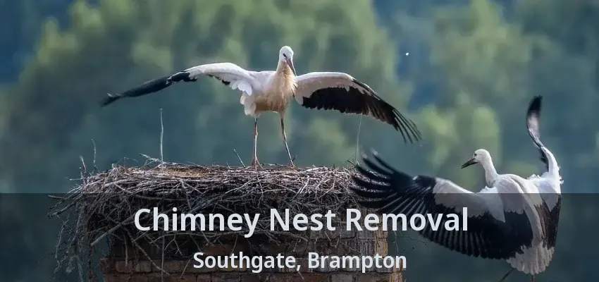 Chimney Nest Removal Southgate, Brampton - ON