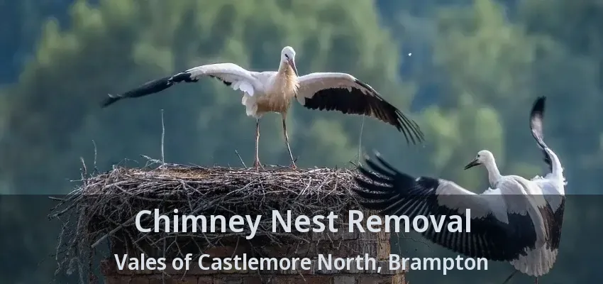Chimney Nest Removal Vales of Castlemore North, Brampton - ON