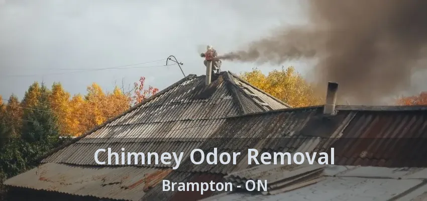 Chimney Odor Removal Brampton - ON