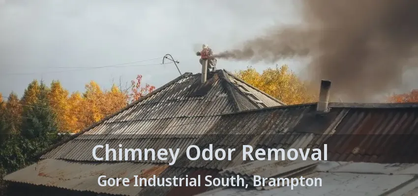 Chimney Odor Removal Gore Industrial South, Brampton - ON