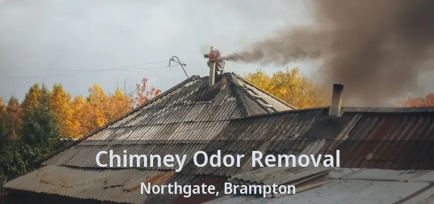 Chimney Odor Removal Northgate, Brampton - ON