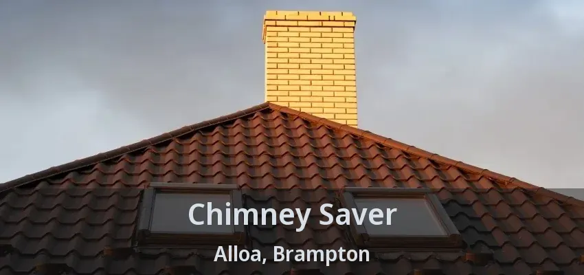 Chimney Saver Alloa, Brampton - ON