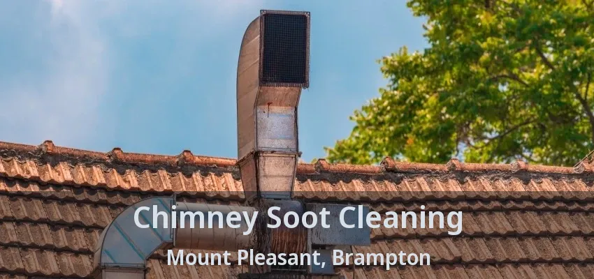 Chimney Soot Cleaning Mount Pleasant, Brampton - ON