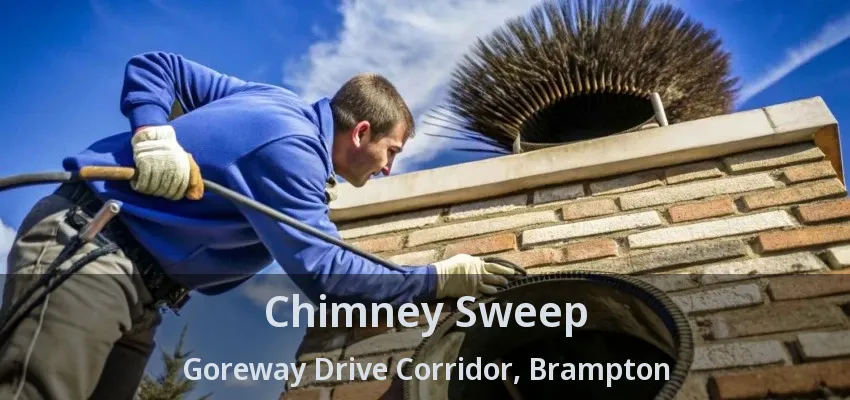 Chimney Sweep Goreway Drive Corridor, Brampton - ON