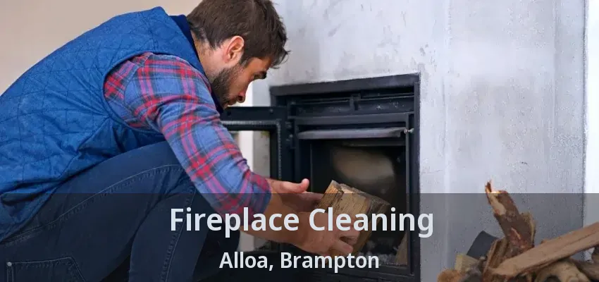 Fireplace Cleaning Alloa, Brampton - ON