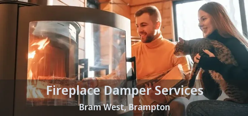 Fireplace Damper Services Bram West, Brampton - ON