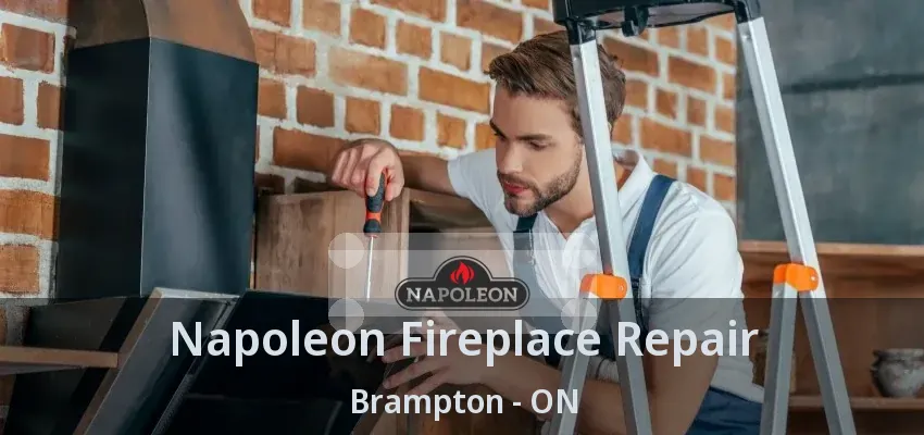 Napoleon Fireplace Repair Brampton - ON