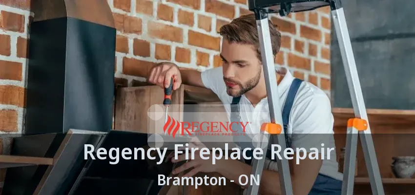Regency Fireplace Repair Brampton - ON