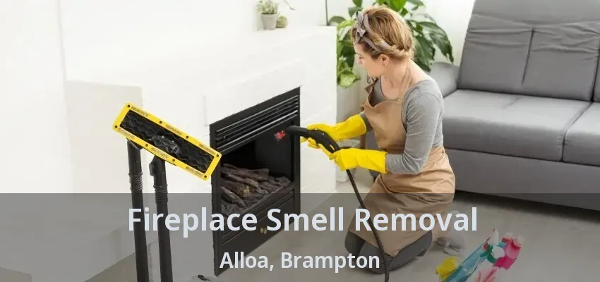 Fireplace Smell Removal Alloa, Brampton - ON
