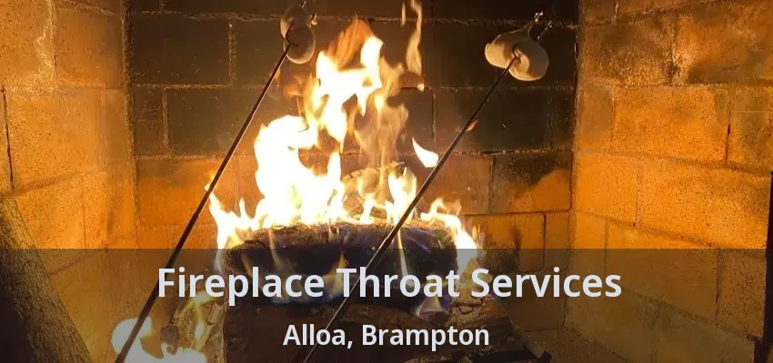 Fireplace Throat Services Alloa, Brampton - ON
