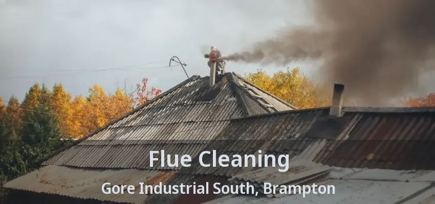Flue Cleaning Gore Industrial South, Brampton - ON