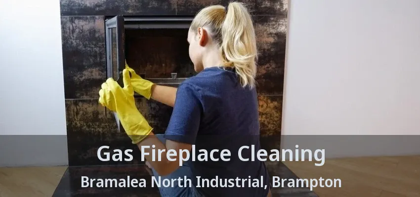 Gas Fireplace Cleaning Bramalea North Industrial, Brampton - ON