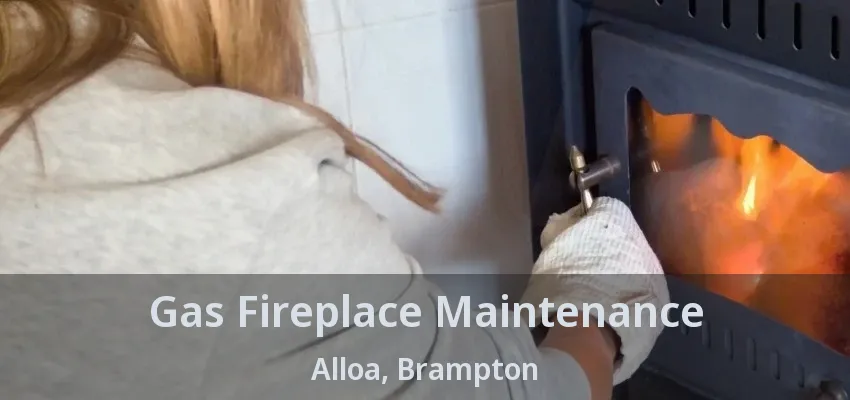 Gas Fireplace Maintenance Alloa, Brampton - ON