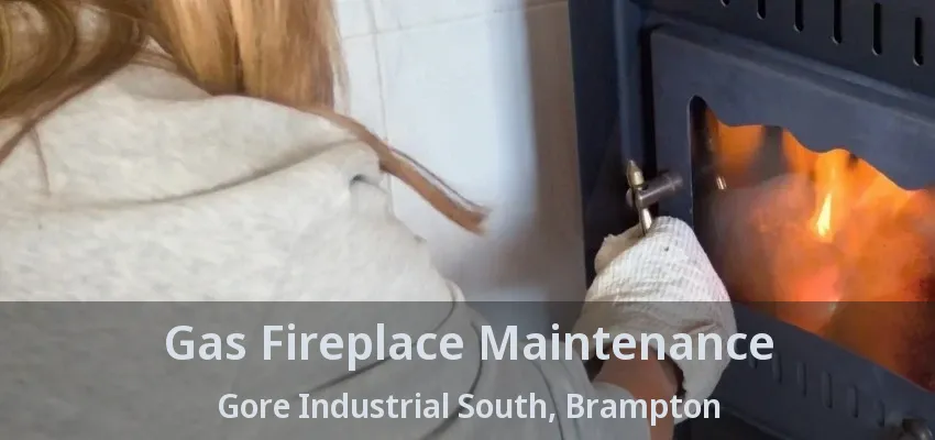 Gas Fireplace Maintenance Gore Industrial South, Brampton - ON