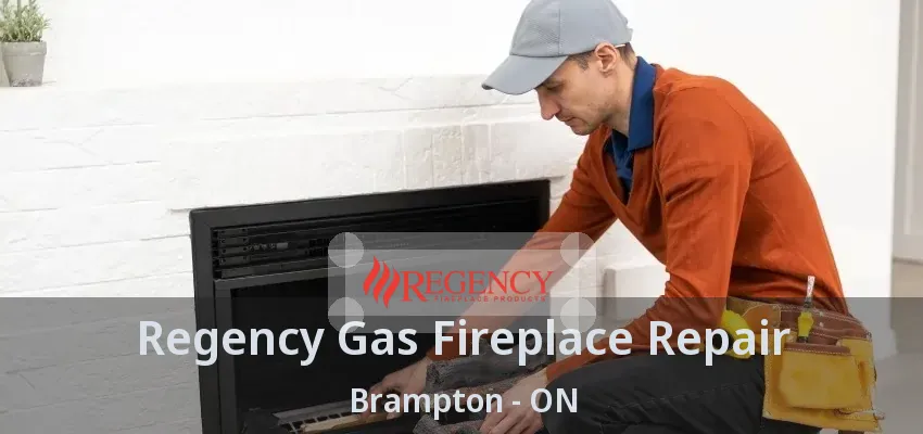 Regency Gas Fireplace Repair Brampton - ON