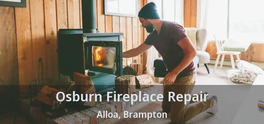Osburn Fireplace Repair Alloa, Brampton - ON