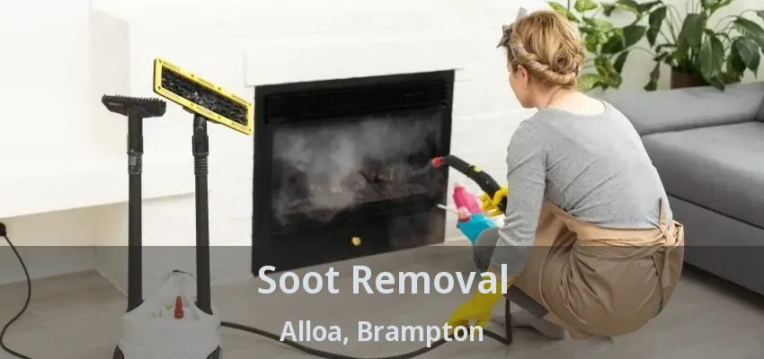 Soot Removal Alloa, Brampton - ON