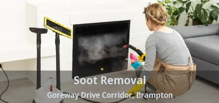 Soot Removal Goreway Drive Corridor, Brampton - ON
