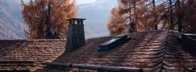 Chimney Animal Removal Gore Industrial South, Brampton